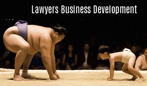 Lawyers Business Development