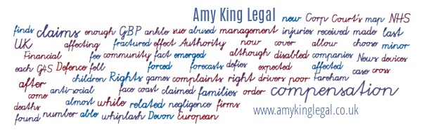 Amy King Legal