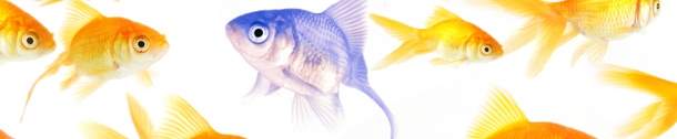 Law Firms in the UK